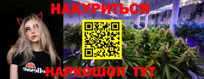 сатива Бузулук