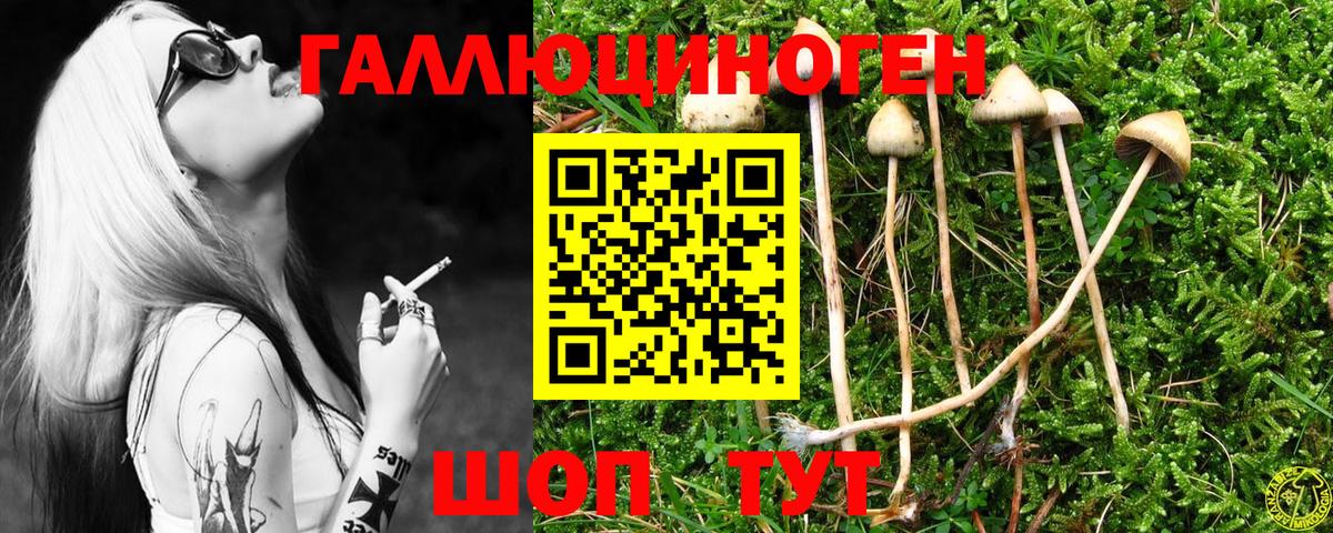 Галлюциногенные грибы ЛСД  Галлюциногенные грибы мицелий  Вход с VPN  Старая Купавна 